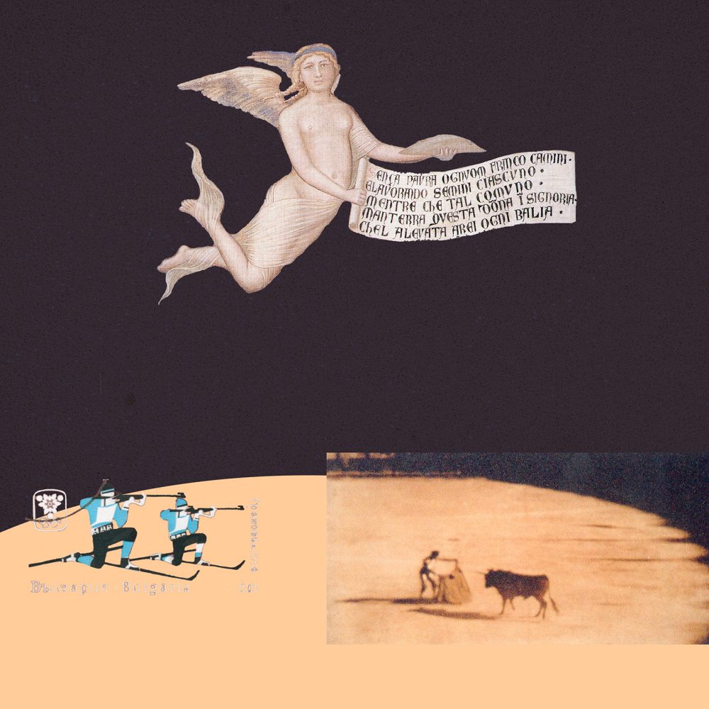 anja.niemann_Geordnete_Verhaeltnisse